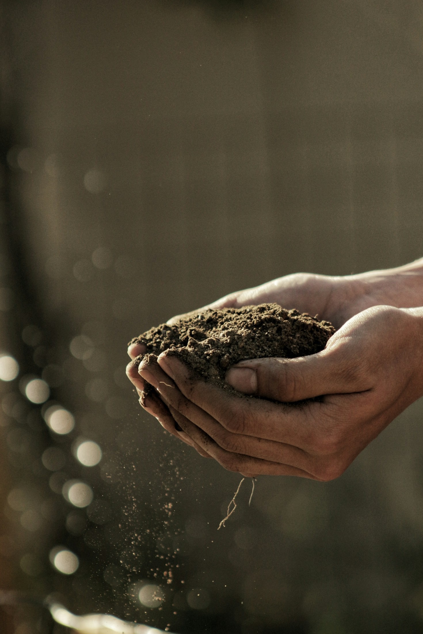 5 Ways Collaboration Drives Yukon Agriculture Forward