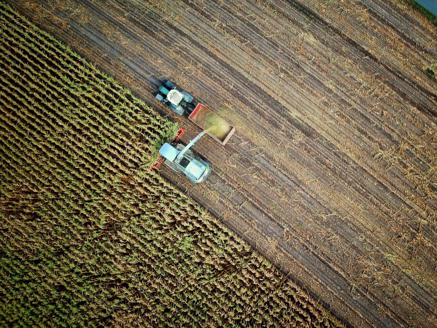 Top Agricultural Trends in Central Yukon for 2024