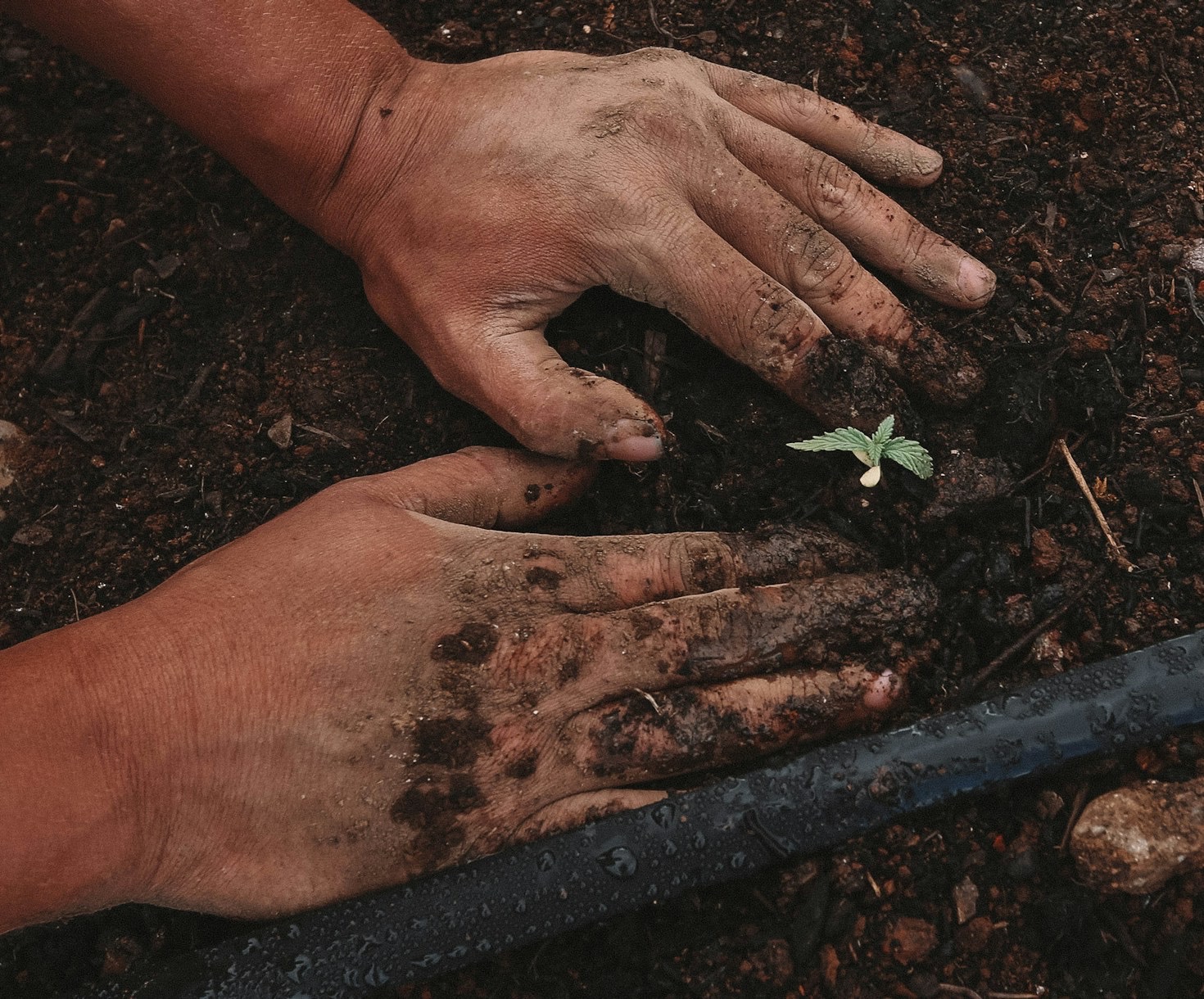 Success Stories from Central Yukon Farmers